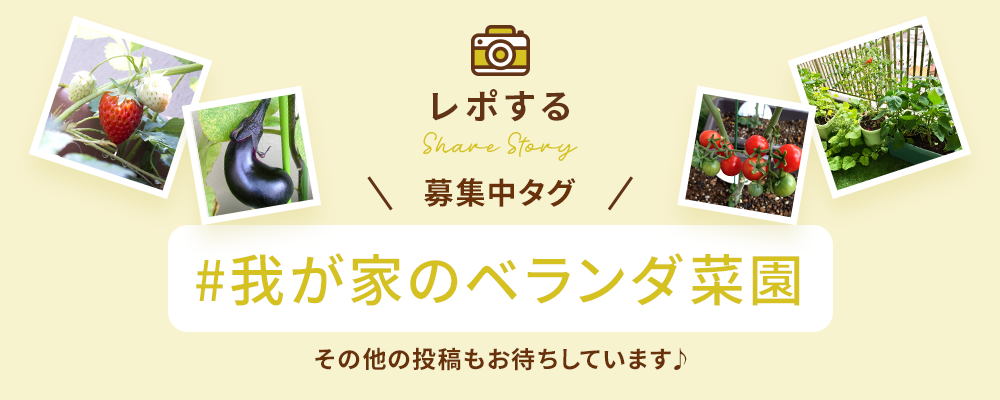 サイトトップバナーエリア①